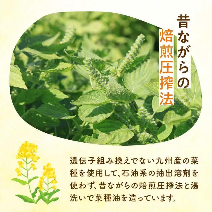 菜の花油 菜の花 サラダ油 3本 [ABAQ012] サラダ油