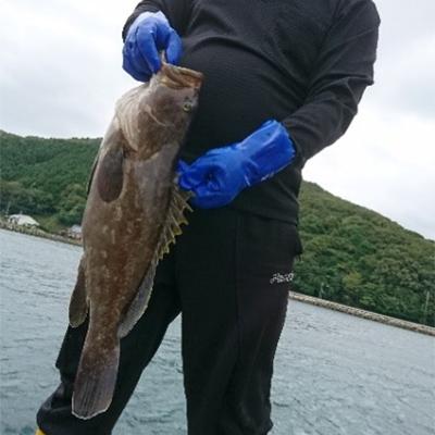 ふるさと納税 対馬市 【対馬産】最高級クエ:鍋セット(4〜5人前) |  | 02