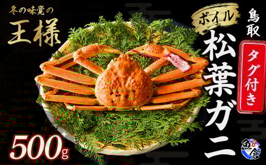 今だけ限定価格！【11月より値上げ】【先行予約】【魚倉】タグ付きボイル松葉ガニ（500g） 冷蔵 カニ ボイル 松葉ガニ タグ付き 新鮮 カニ爪 ズワイガニ ずわいがに 国産 鮮度抜群 限定価格 限定寄付額 値上対象 鳥取県 倉吉市