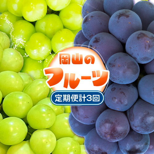 【ふるさと納税】【3回定期便】フルーツ 定期便 計3回コース 岡山県産 シャインマスカット 晴王 ニューピオーネ マスカットオブアレキサンドリア 株式会社山博《7月上旬-9月末頃出荷》岡山県 備前市 フルーツ 果物 定期 ぶどう マスカット お取り寄せ【配送不可地域あり】