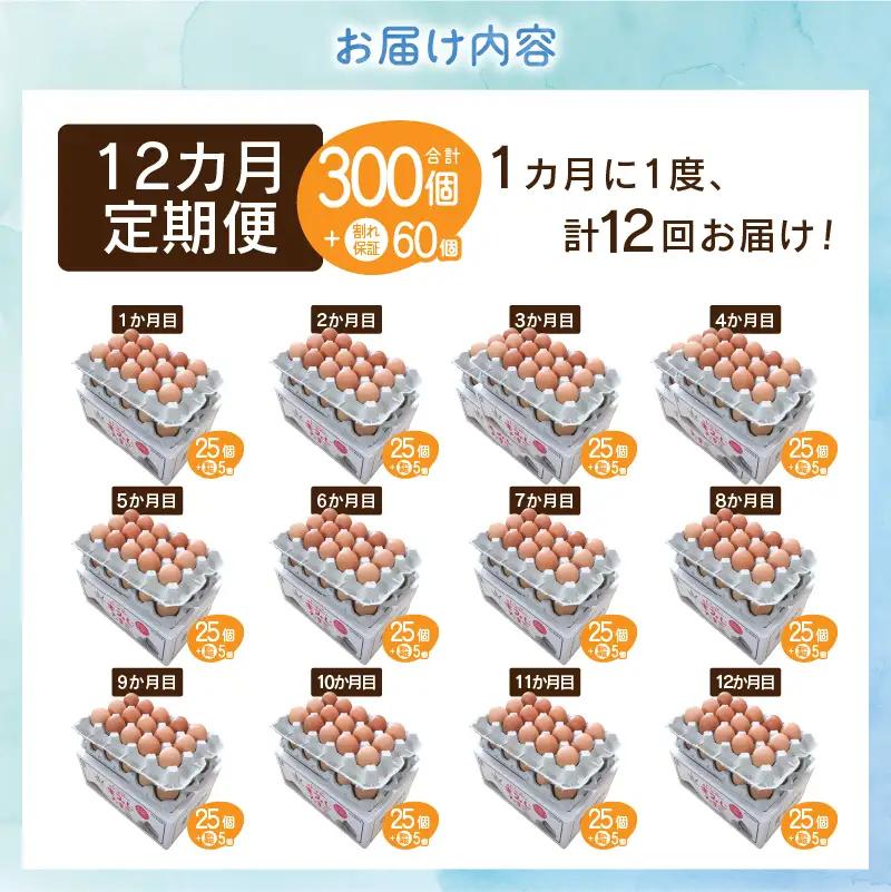 【12か月定期便】”忍野の卵”コクの赤玉30個×12回 ※割れ保証含む 卵