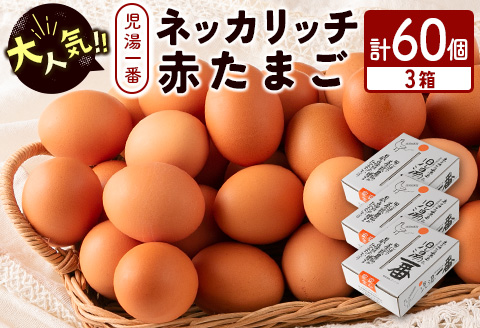 ＜児湯養鶏自慢の卵 ＞ネッカリッチ赤たまご「児湯一番」計60個（20個入×3箱）【B23】