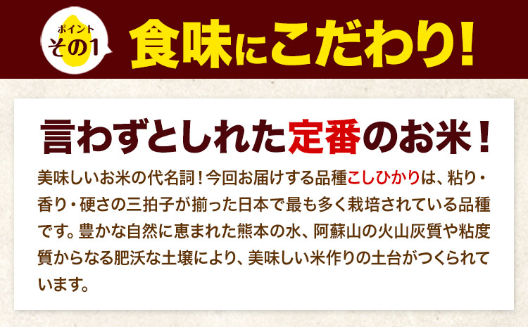 【6ヶ月定期便】令和7年産 定期便 こしひかり  5kg 無洗米 阿蘇 うぶやま 米 定期便 熊本県産 ふるさと納税 精米 ひの 米 こめ ふるさとのうぜい コシヒカリ コメ お米 おこめ《お申込み翌