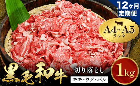 【12ヶ月定期便】黒毛和牛 切り落とし 小分け 1kg  A4 A5 定期便｜牛肉牛肉牛肉 田中畜産