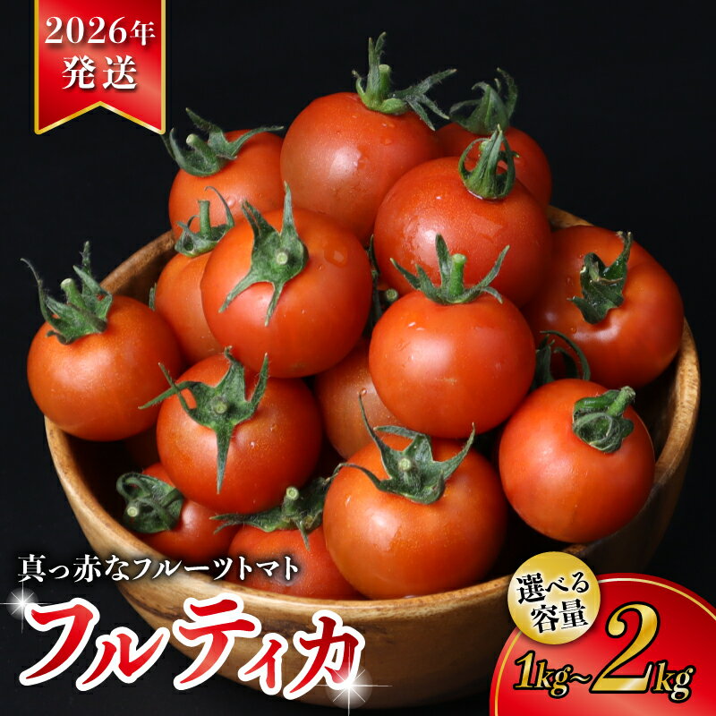 【ふるさと納税】 【 2026年 先行予約 】 トマト 選べる 約 1kg / 約 2kg フルーツトマト 国産 とまと 濃厚 完熟 旬 ふるーつとまと 糖度 高糖度 野菜 やさい 朝採れ 産地直送 フルティカ 人気 おすすめ ご褒美 ギフト 贈答 サラダ 千葉県 旭市 株式会社はなわ農園