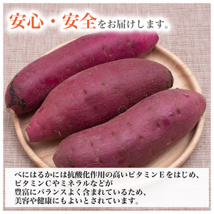 限定 干し芋 2袋 セット 合計340g 特選 ぎんこ芋 さつまいも 紅はるか べにはるか 芋 イモ いも 国産 健康 人気 自然 無添加 伊勢 志摩 三重県