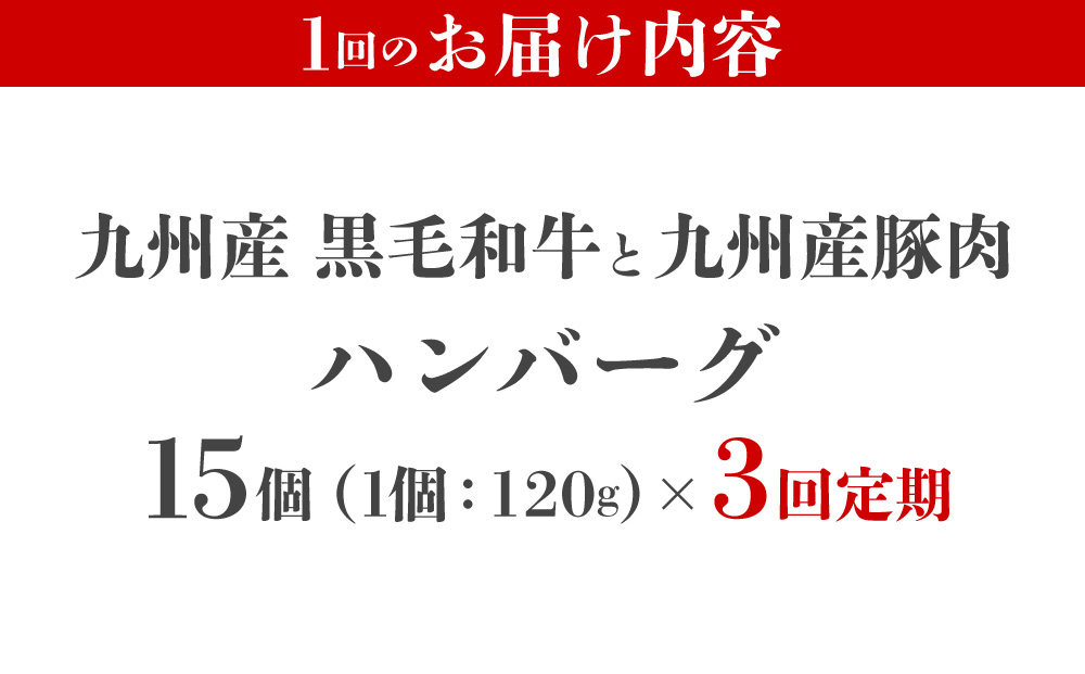 ＜定期便・全3回＞九州産黒毛和牛と九州産豚肉 ハンバーグ 15個セット | 国産牛 国産豚 肉汁 ジューシー 九州産 個包装 小分け 無添加 冷凍 惣菜 おかず 夕食 時短 簡単調理 送料無料 福岡県