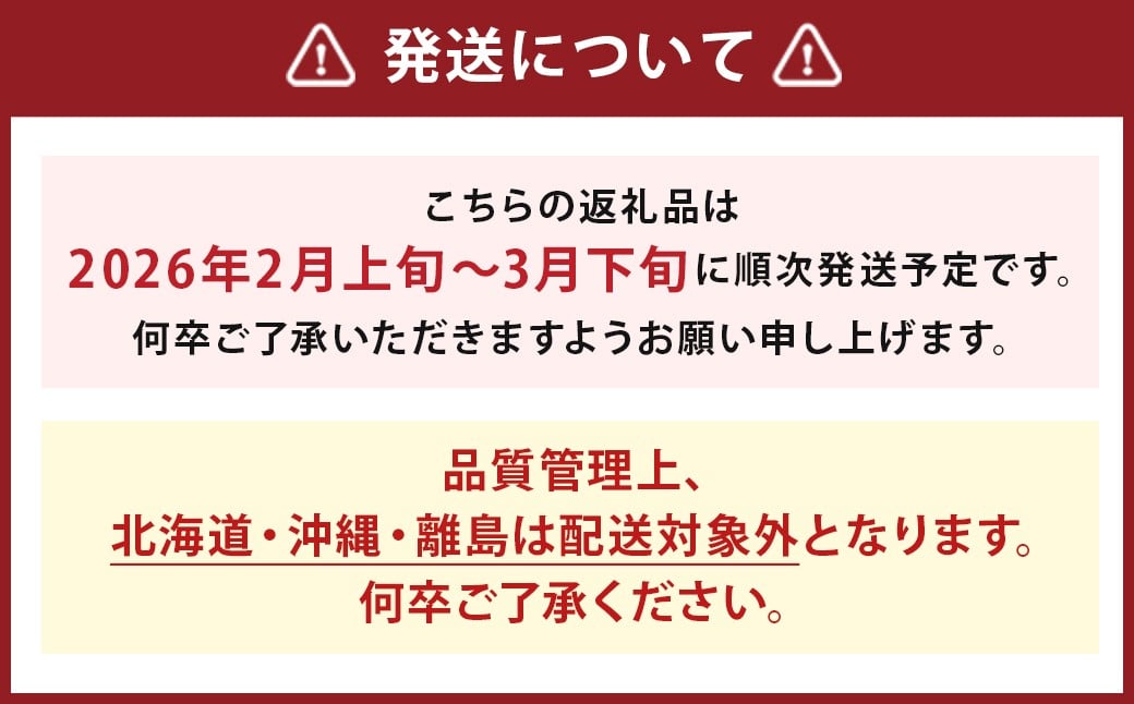 いちご 「あまおう」 約270g×8パック 計約2160g