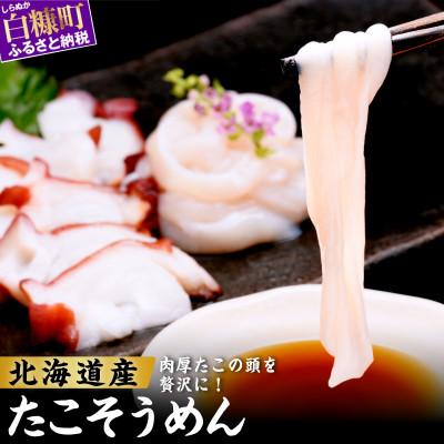 ふるさと納税 白糠町 北海道産 たこそうめん 400g (100g×4袋)