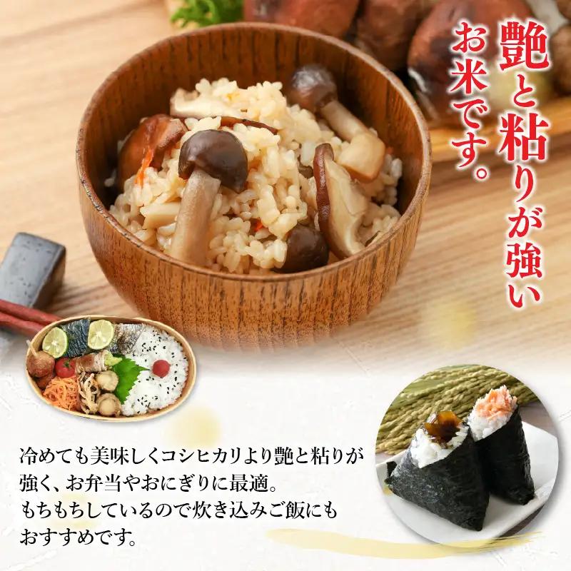 【先行予約】【令和8年産】【定期便6回】≪6ヶ月連続お届け≫ 化学肥料不使用 ミルキークイーン 精米 4kg (真空パック1kg×4袋) × 6回（合計24kg）※2026年10月上旬より順次発送予定