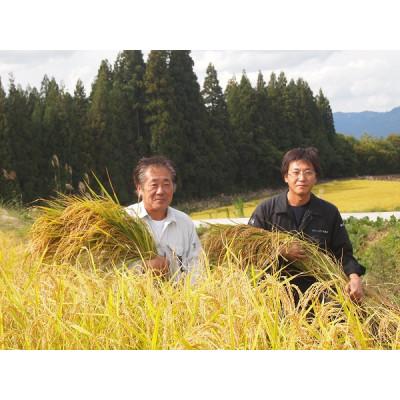 ふるさと納税 津南町 令和4年産　魚沼産こしひかり　【ダイヤモンド褒賞受賞(※)特別栽培米】5kg×4袋 |  | 01