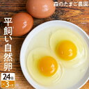 【ふるさと納税】定期便 たまご 卵 3ヶ月 自然卵 24個 セット 平飼い お取り寄せ 新鮮 ニワトリ 玉子 人気 おすすめ 岐阜 高山 送料無料 LW100