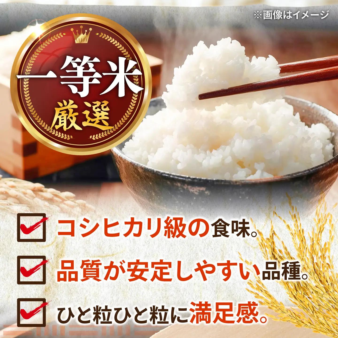 にじのきらめき 10kg[BFAG031]