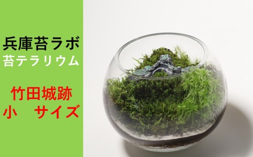 【丸形テラリウム（小）】天空の城 「竹田城跡」をイメージした苔テラリウム