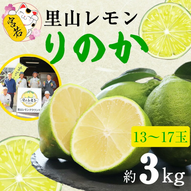 【ふるさと納税】レモン りのか 璃の香 約3kg 宮若市 特産品 【里山レモンの会】
