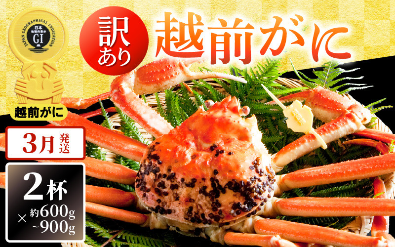 
            【訳あり】越前がに本場の越前町からお届け！ 越前がに 浜茹で600g～900g前後（※生重量） × 2杯 かにの食べ方しおり付き【かに カニ 蟹】【福井県 越前町 雄 ズワイガニ ボイル 冷蔵 越前ガニ 越前かに 越前カニ ずわいがに ずわい蟹 かに カニ 蟹】【3月発送分】希望日指定可 備考欄に希望日をご記入ください [e14-x004_03]
          
