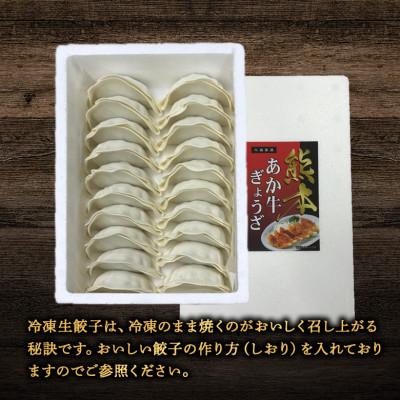 ふるさと納税 阿蘇市 熊本和牛あか牛ぎょうざ60個(あか牛ぎょうざ20個入り×3箱)(阿蘇市) |  | 01