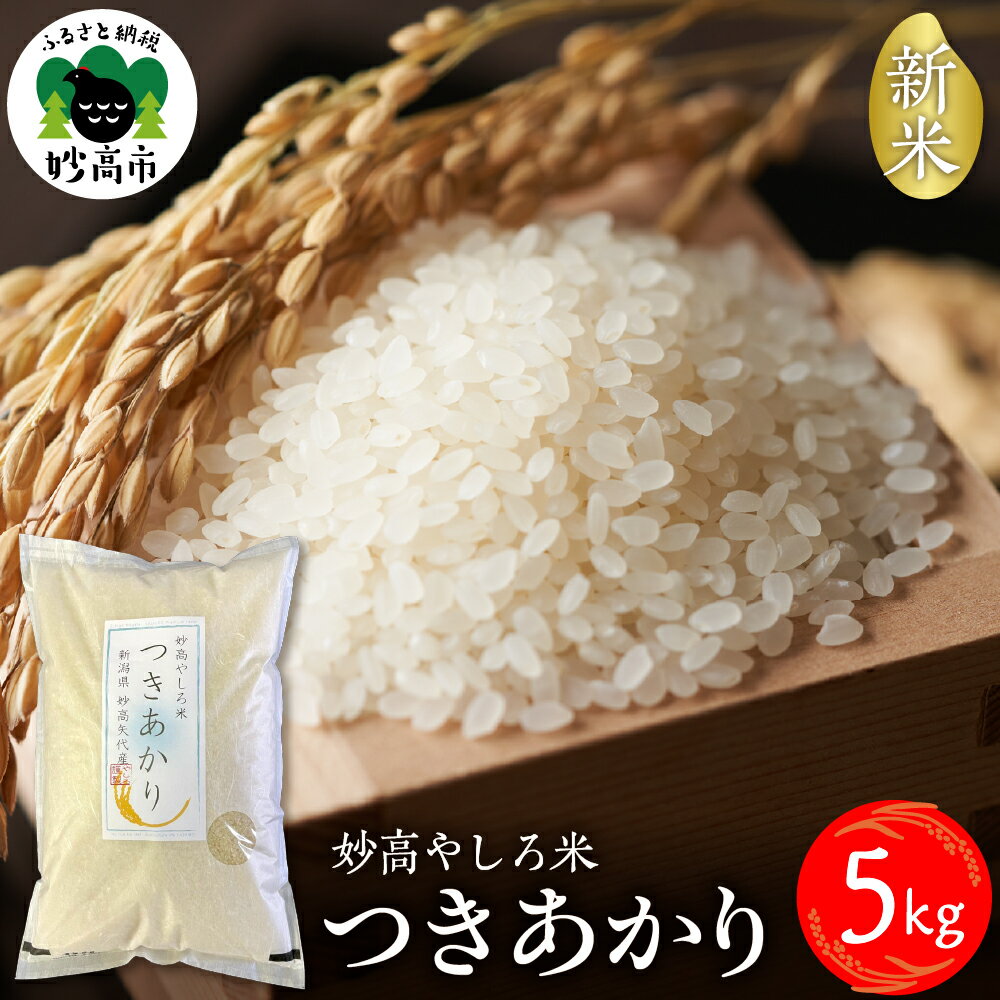 【ふるさと納税】令和7年産 新米 つきあかり 5kg 新潟県 妙高やしろ米 / お米 米 コメ 精米 白米 米どころ こめ ご飯 ごはん ライス 弁当 おにぎり 新潟 妙高市【10月中旬より発送】