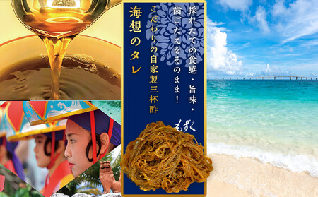 もずキムの沖縄もずくとご飯のお供 計６点セット