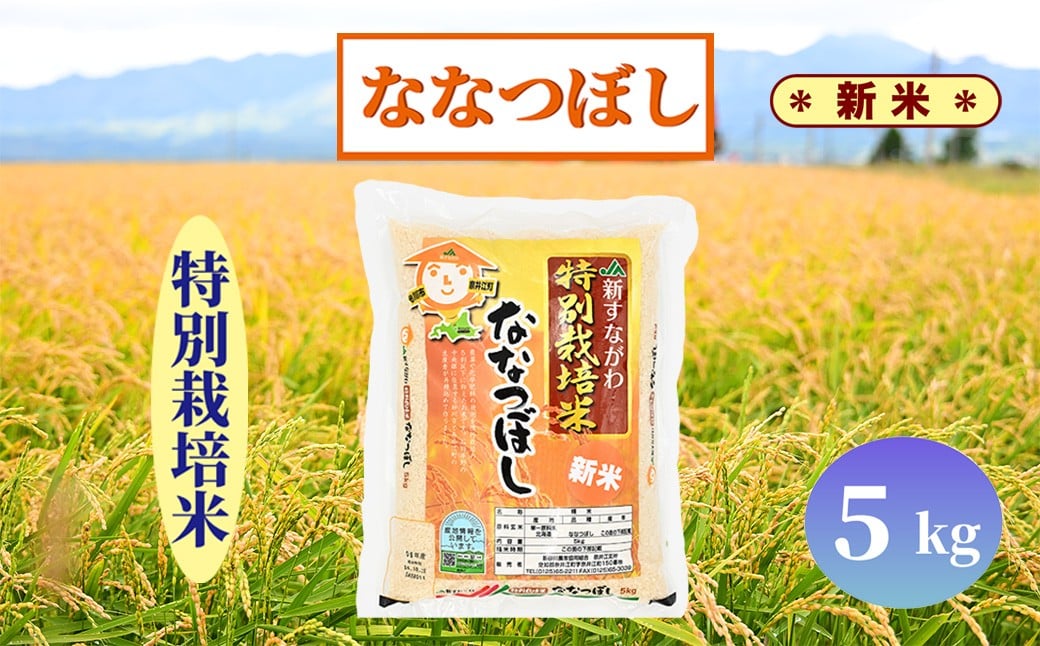 
            北海道奈井江町　特別栽培米　ななつぼし　5kg
          