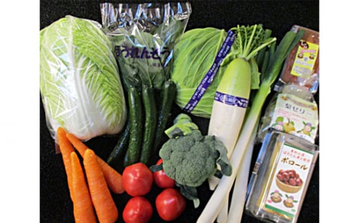 東松山市産季節の野菜と市内産加工品詰合せセット | 野菜 野菜セット 詰め合わせ 季節 旬 新鮮野菜 かぶ レタス キャベツ のらぼう菜 トマト オクラ 玉ねぎ ニンニク きゅうり ナス ニンジン ネギ ズッキーニ インゲン バラエティ バラエティーセット 梨ゼリー パウンドケーキ せんべい おいしい 美味しい うまい 旨い 自然 東松山市 埼玉県