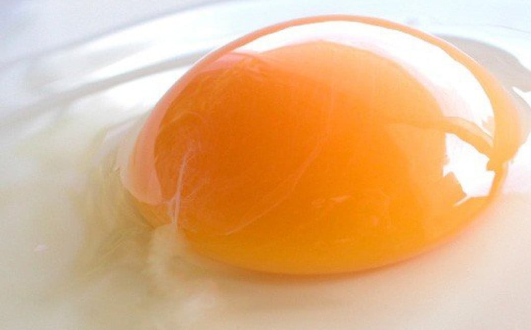 【年6回定期便】【奇数月お届け】 卵かけごはん専用 あさひ卵 L玉サイズ×30個 （25個+破損保障5個）×6回  