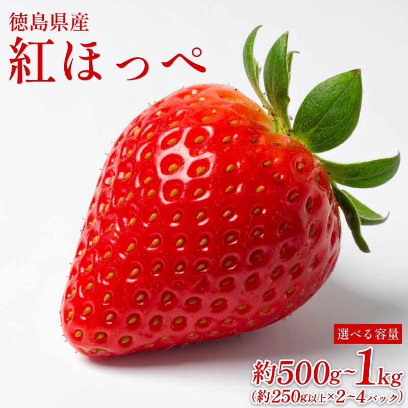 【ふるさと納税】 いちご 500g ～ 1kg 選べる 容量 紅ほっぺ 苺 【1月下旬より順次出荷】 イチゴ ストロベリー 数量限定 徳島県産 旬 産地 直送 フレッシュ フルーツ 果物 国産 徳島県 5000 5000円 5000円以内