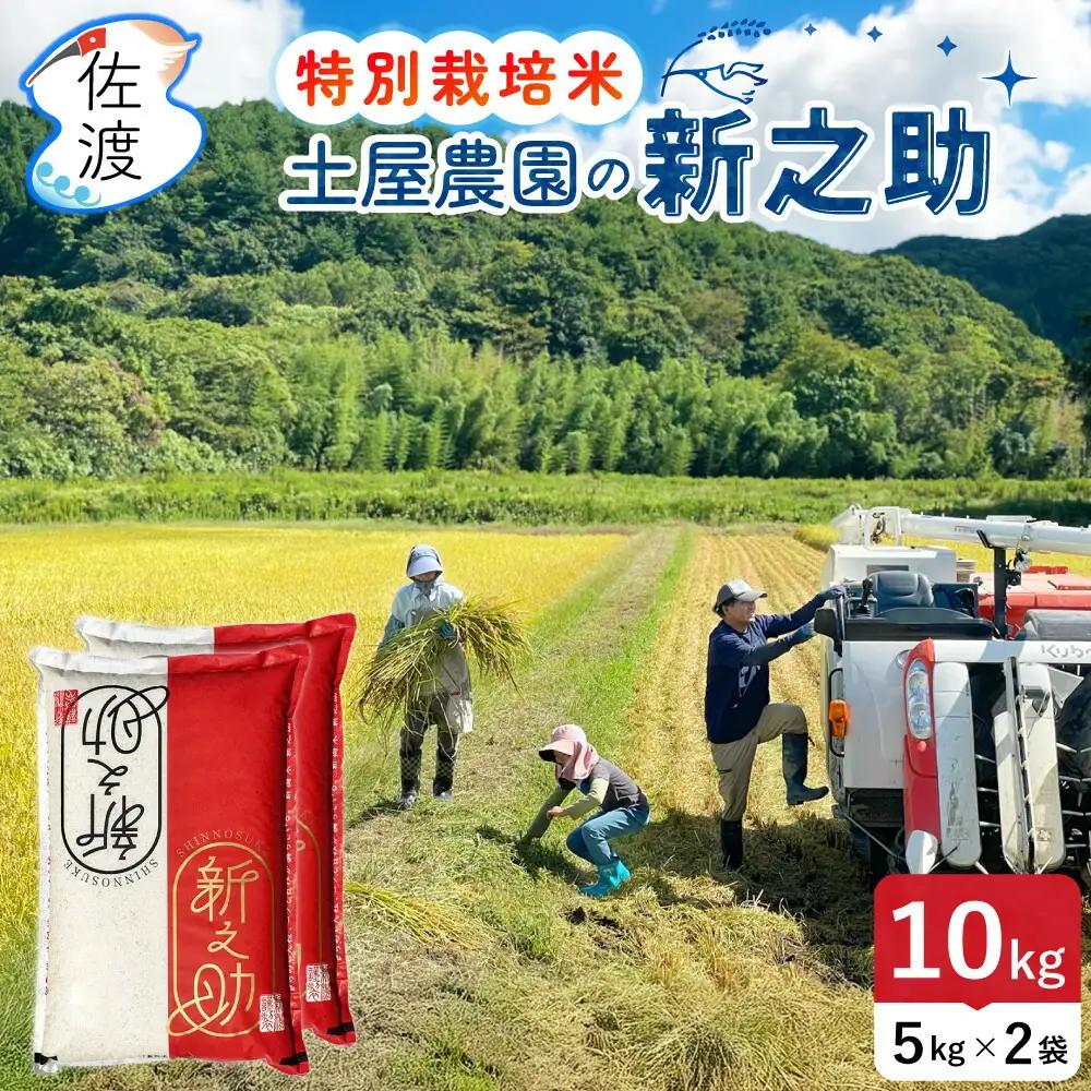 無洗米 10kg 土屋農園 令和7年 新之助 | 新潟県 佐渡市 無洗米 195962-0224