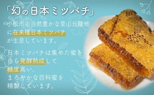 【石川県小松市産】純粋日本はちみつ 白山ひめみつ 280g×2 ｜ 石川県 小松市 【白山ひめみつ園】