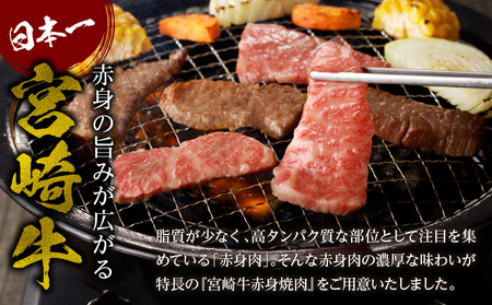 牛肉 赤身 牛肉[宮崎牛 ウデ・モモ 焼肉 800g]
