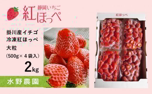 掛川産『ミズノ農園の完熟冷凍紅ほっぺ』500g×4袋【1234934】