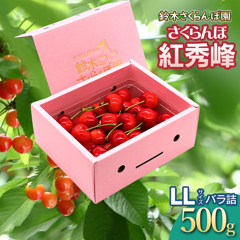 【令和8年産先行予約】 さくらんぼ 紅秀峰　バラ詰め　LLサイズ　500g　山形県鶴岡産　鈴木さくらんぼ園