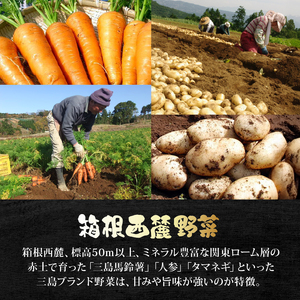 レトルトカレー 4食 箱根山麓 プレミアム レトルトカレー
