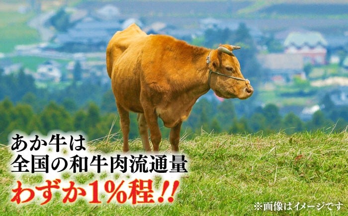 ハンバーグ あかうし あか牛 たっぷり 赤牛 肉 大賞 100% にく niku ブランド 旨み 熊本県 菊陽町
