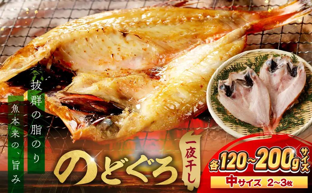 【テレビで紹介されました】 のどぐろ 一夜干し 2～3枚 のどぐろ 干物 【005_2085】