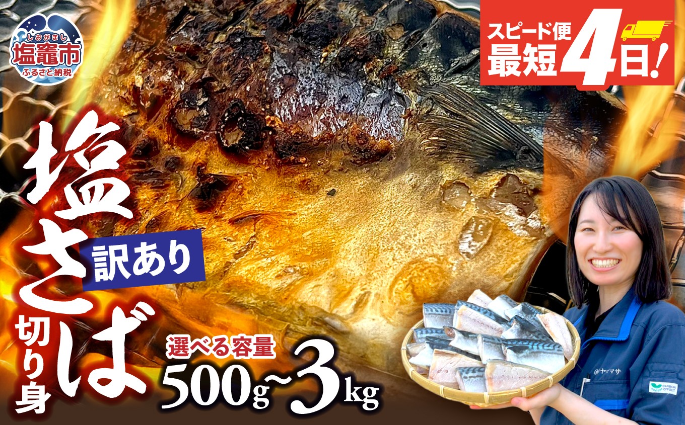 
                  訳あり 塩サバ 〈500g/1kg/2kg/3kg〉 海鮮 無添加《一週間以内に出荷予定(土日祝除く)》切り身 さば サバ 魚 無添加 鯖 冷凍 塩さば 規格外 大容量 とろさば トロサバ 塩サバ 焼魚 鯖 海塩 おつまみ おかず 万能 塩竈市 塩釜 ヤママサ ym00013
                