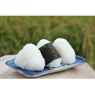 ふるさと納税 鳥取市 【2026年9月下旬〜発送予定】おいしい米食べ比べセットB |  | 01