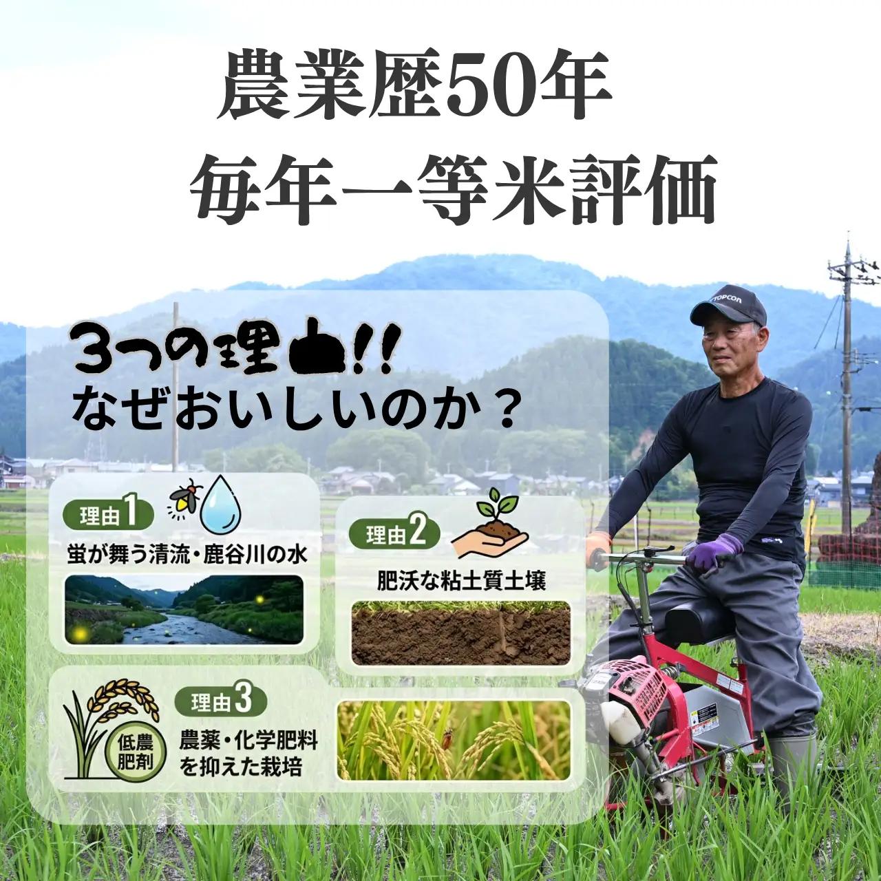 米 コシヒカリ 精米 10kg 令和8年産 先行予約 [A-104003]