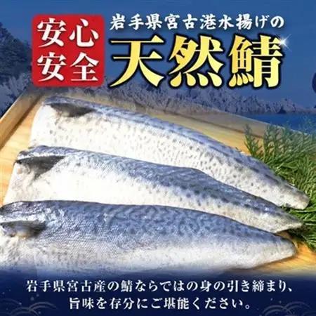 国産無塩さば　フィーレ・フィレ　3kg　無添加【配送不可地域：離島】【1722186】