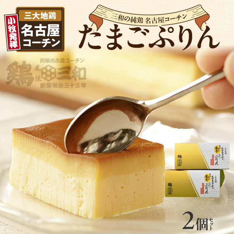 【ふるさと納税】プリン たまごプリン 200g × 2個 セット 三大地鶏 名古屋コーチン 三和の純鶏 卵 100%使用 濃厚 甘み 弾力 もっちり クセになる食感 まるでケーキ カラメル スイーツ デザート 洋菓子 お菓子 お取り寄せ グルメ 送料無料 愛知県 小牧市