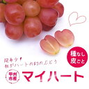 【ふるさと納税】 ぶどう マイハート 1房 500g以上 希少品 厳選 甲州市 フルーツ ハート形 かわいい 葡萄 甘い 果実 くだもの 人気 池田青果 数量限定 山梨県 産地直送 期間限定 贈答 ギフト 家庭用 9月 10月 11月 発送 果物 赤ぶどう 【2025年発送】 （IS） 【B15-457】