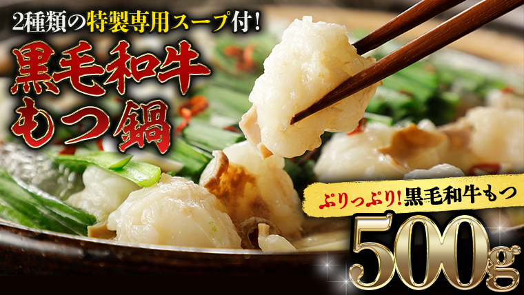 黒毛和牛 もつ鍋 セット 牛もつ 500g（ 2～3人前 × 2回分 ） 和牛 鍋 ふるさと納税 8000円 お手軽 [AU089ya]