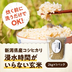 【令和7年産】「米屋のこだわり阿賀野市産」浸水時間がいらない玄米２kg 新潟県 米 こめ コメ 玄米 1E11010