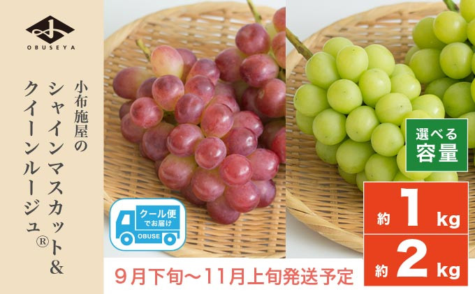 
            シャインマスカット＆クイーンルージュ® 約1kg 約2kg 選べる内容量  ［小布施屋］ 果物 フルーツ ぶどう 葡萄 令和7年産【2025年9月下旬～11月上旬発送】
          