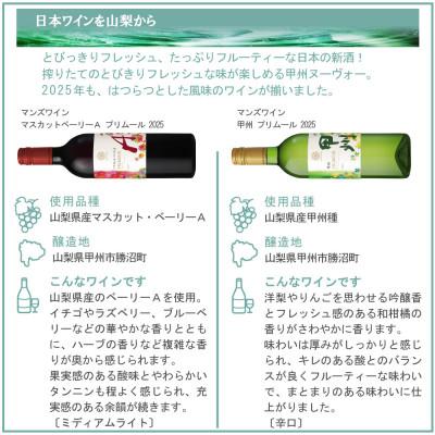 ふるさと納税 山梨県 山梨の新酒 2025 飲み比べ 6本セット |  | 01