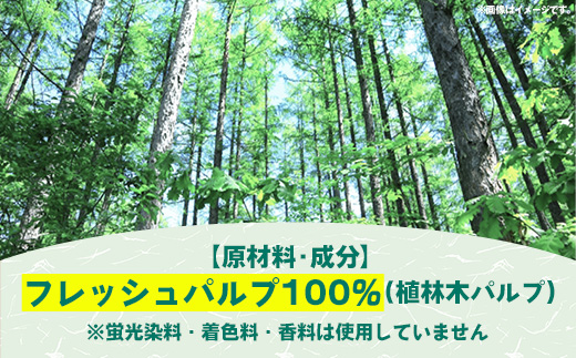 ティッシュペーパーソフトパック　４００枚（２００組）６０パック - ソフトパック ティッシュ ペーパー 生活用品 雑貨 日用品 必需品 紙 常備品 まとめ買い 備蓄 防災 ストック 熊本県 甲佐町