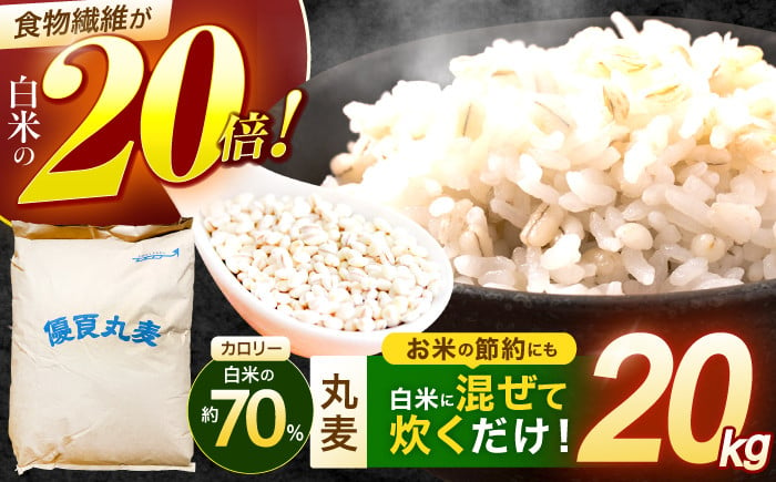  長崎県産 丸麦 20kg  麦 むぎ 雑穀 雑穀米 麦ごはん 麦みそ 麦味噌 食物繊維