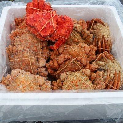 ふるさと納税 根室市 【北海道根室産】クリガニ18〜22尾(4kg前後)、花咲ガニ1尾 B-57023 |  | 01