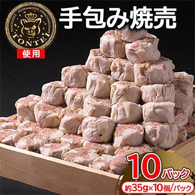 ふるさと納税 山鹿市 FAさくらポーク　手包み焼売100個