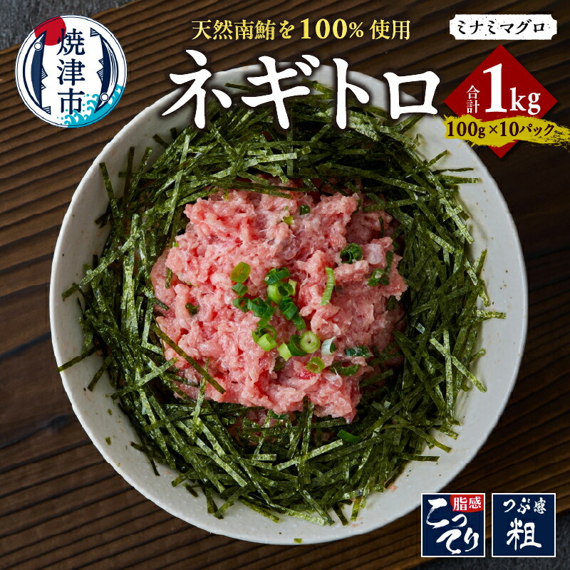 【ふるさと納税】 まぐろ ネギトロ 天然 南マグロ 100g×10パック 合計1.0kg 個包装 魚 冷凍 焼津 a11-156